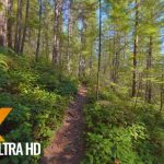Virtual hiking trails for indoor exercise