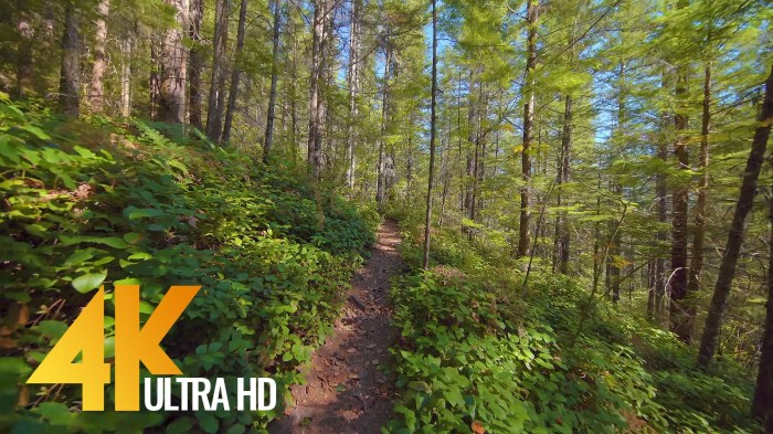 Virtual hiking trails for indoor exercise